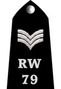 Uk-police-02