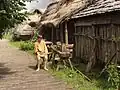 In Ukranenland