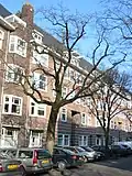 A pruned 'Cornuta' in the same avenue, showing graft.