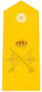 General de División