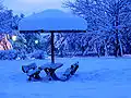 Park during winter