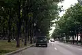 Tree-lined Haskell Avenue