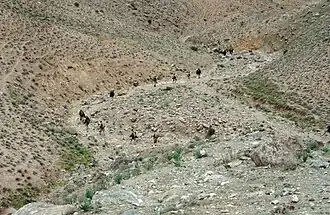 Border