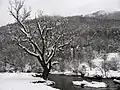 In the monastery Celia - middle stream of the river Gradac