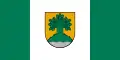Flag of Valmiera Municipality