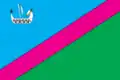 Flag of Velykonovosilkivskyi Raion