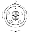 Floral diagram showing corolla aestivation