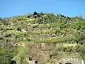 14. Abandoned since the mid-20th century: Gondorfer Fuchshöhle in a side valley of the Moselle near Kobern-Gondorf.