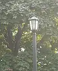 A vintage streetlight shines over Victory Memorial Drive