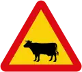 Animals (domesticated)