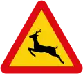 Animals (wild)