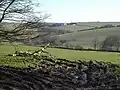The view from Trevivian across the Inny valley towards Treglasta