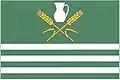 Flag of Vilice