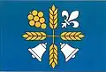 Flag of Vinary