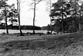 Virserum Lake, spring 1991.