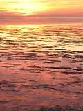 Wadden sea