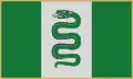 Flag of Vyžuonos