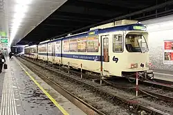Vienna Tram Train at Eichenstraße station