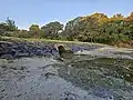 Wairaki Stream mouth and culvert