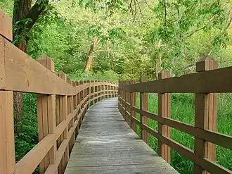 Wooden walkway