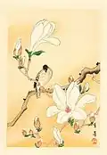 Bird and Magnolia