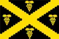 Flag of Wijnegem