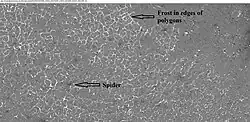 Spiders and frost in polygons during northern spring, as seen by HiRISE under HiWish program.