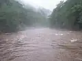 Fog on the Williams River during a period of high water in 2006.