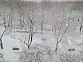 A winter snowfall in Williamsbridge Oval Park