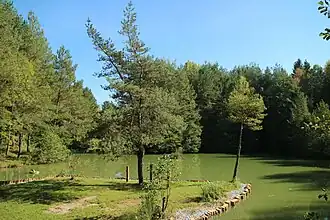 Island in the Windorf pond