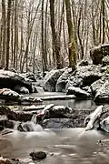 Winter in Leukbachtal