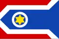 Flag of Welsrijp