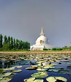 View of the garden
