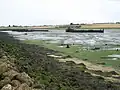 Medway Estuary and Marshes