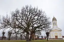 Zapis in front of the village church