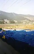 Zhaoqing Brewery beer containers 1999