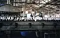 Zhaoqing Brewery bottling line 1999