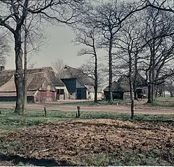 Farms in Zwiggelte
