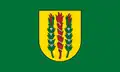 Flag of Zujūnai