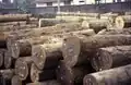 Storage of wood in the port, Kribi 1997