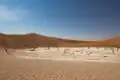 General view of Dead Vlei