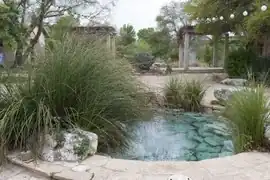 Courtyard spring.