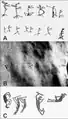 Rock art from other sites from comparison. 'c' is located ca. 1500&nbsp;km from L.Santo.
